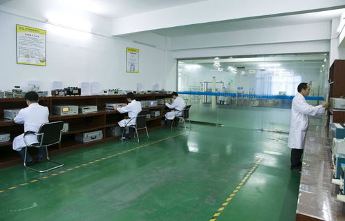 四川德陽漆膜擺式硬度計(jì)檢定出報(bào)告周期及計(jì)量技術(shù)服務(wù)指南